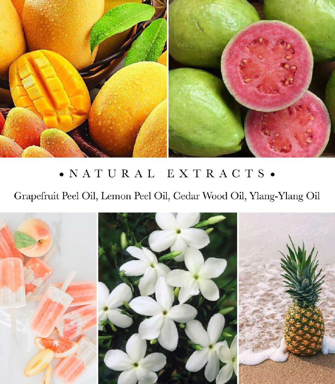 Guava & Gold fruit and flower fragrance ingredients image