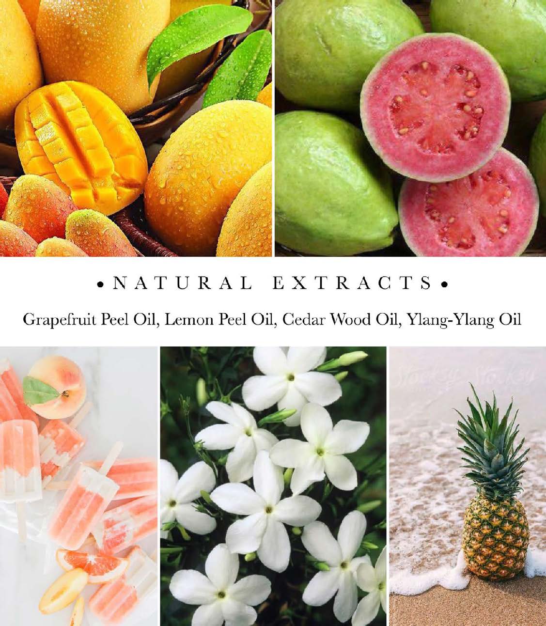 Guava & Gold fruit and flower fragrance ingredients image