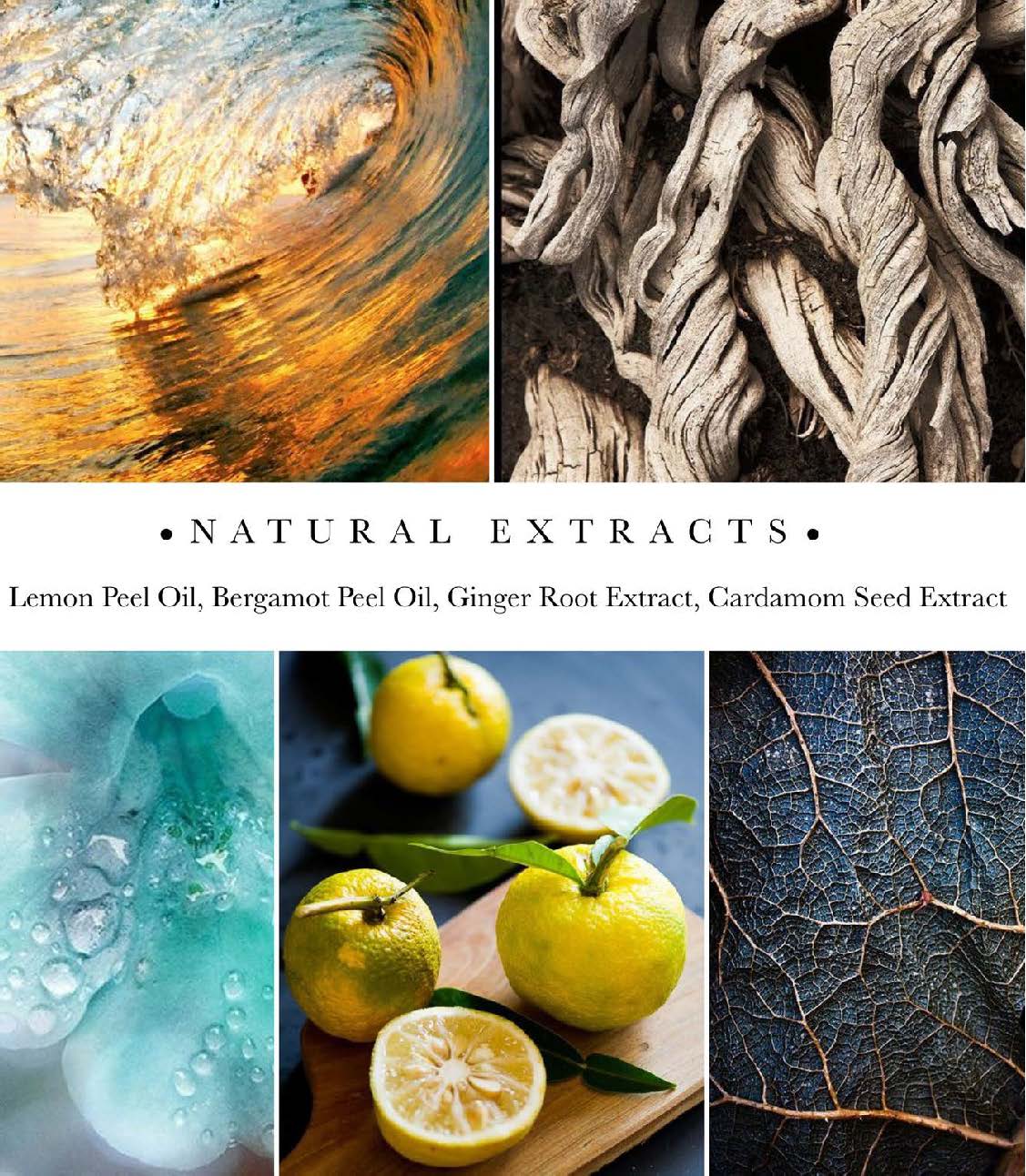 Natural extract ingredients in Rhythm & Reef Bath & Shower Gel