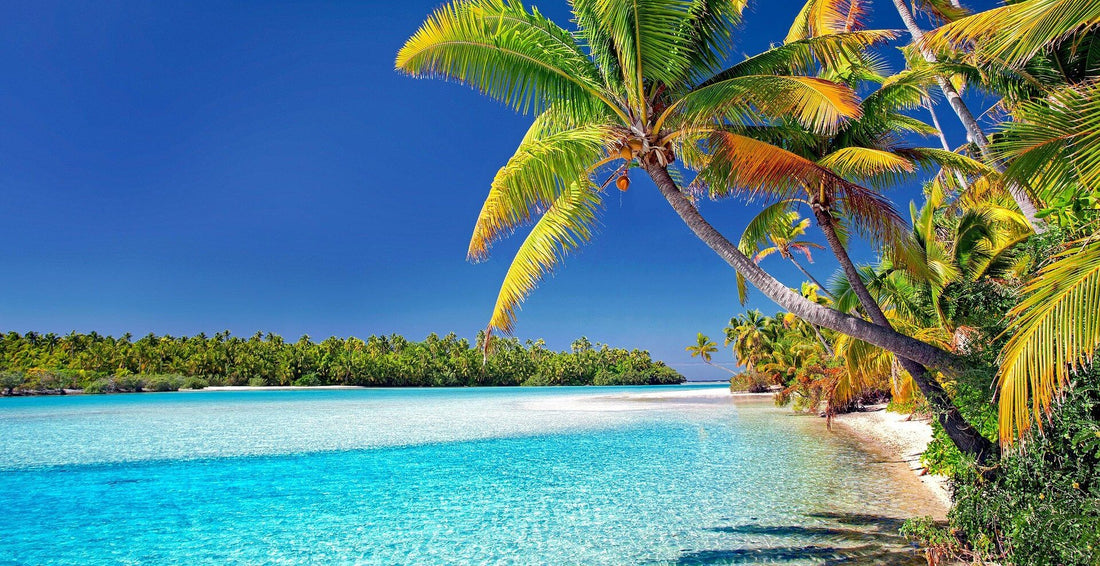 Beach scene for Guava & Gold