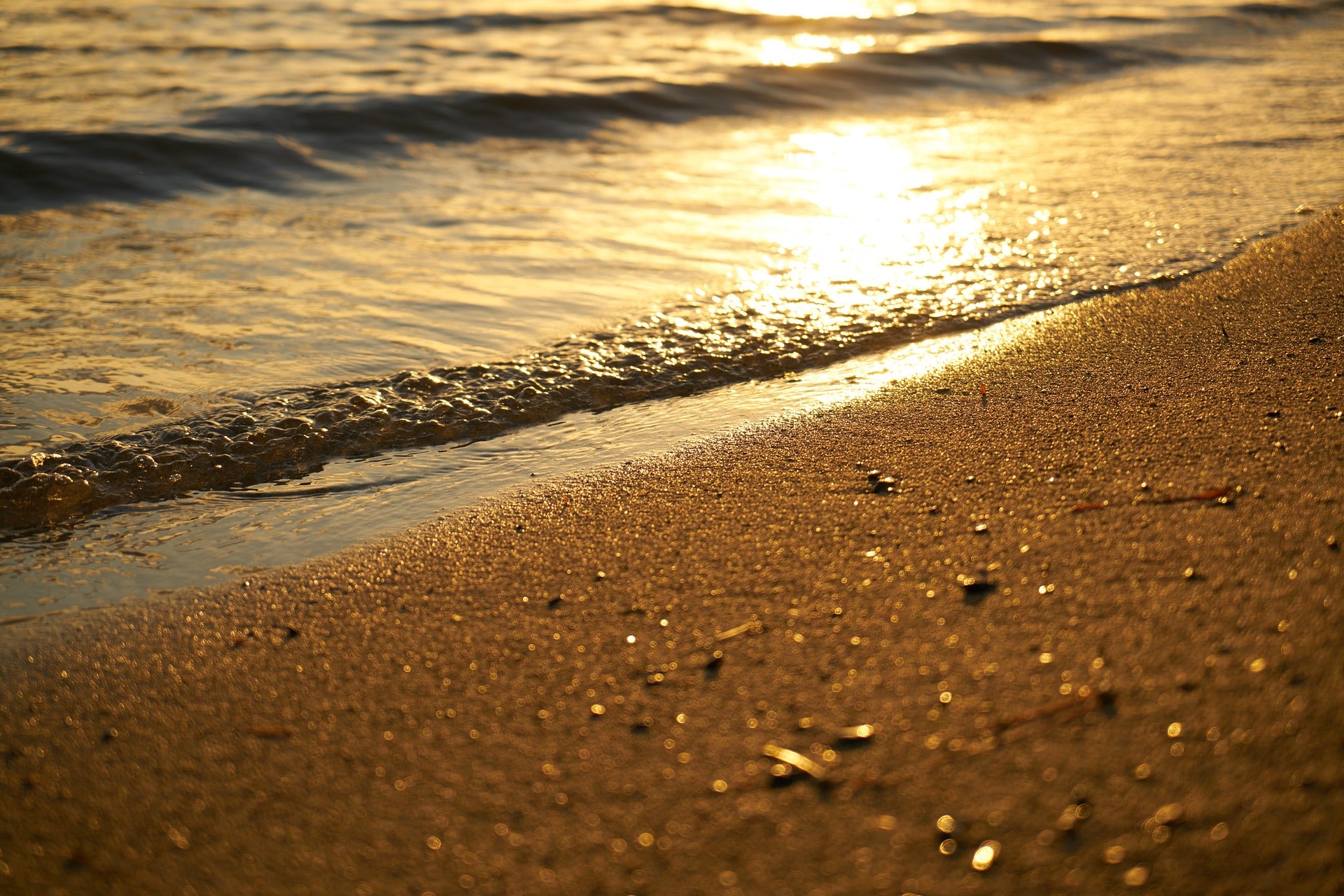 Golden sunset over sandy beach